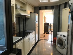 Lucky Plaza (D9), Apartment #225261681